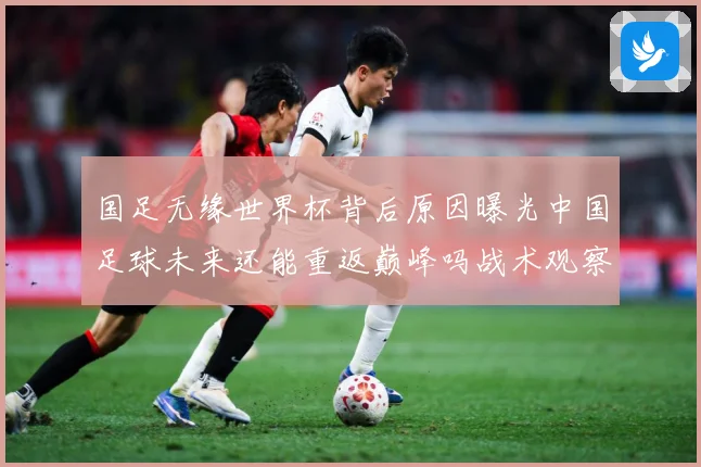 国足无缘世界杯背后原因曝光中国足球未来还能重返巅峰吗战术观察：最新赛事动态与深度分析